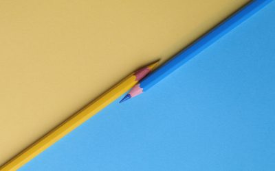 Consulente del Lavoro o Commercialista?
